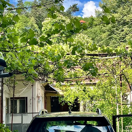 Casa Ming Villa Brașov