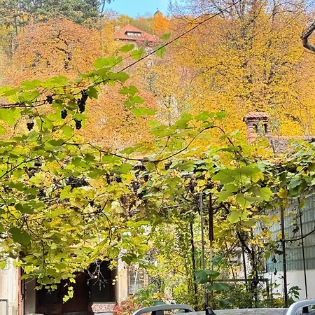 Villa Ming Centrul Cu Parcare *