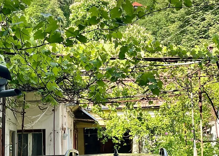 Casa Ming Villa Brasov